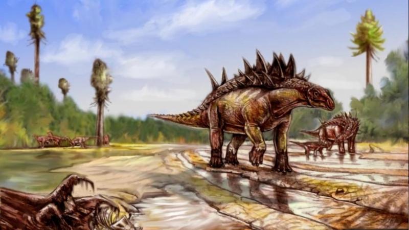 Fedezd fel a magyar dinoszauruszok lenyűgöző világát az új kiállításon! A National Geographic által bemutatott eseményen különleges fosszíliák és izgalmas információk várnak rád, amelyek életre keltik a föld ősi lakóit. Ne hagyd ki ezt a páratlan lehetősé