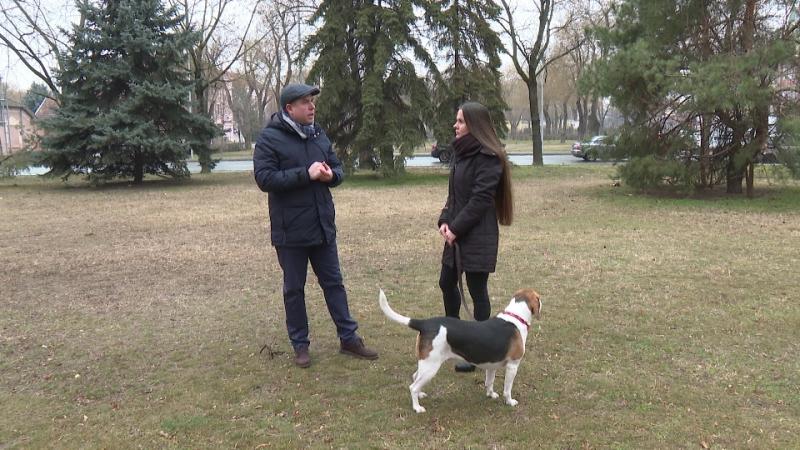 Új kutyafuttató létesülhet a Petőfi utca végén, ami remek lehetőséget biztosít a négylábú barátok számára a szabad játékra és futkározásra.