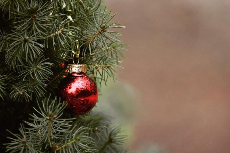 Tegyük különlegessé a december 24-ét: miért ne lenne ez a nap munkaszüneti? Hamarosan elérkezik a népszavazás ideje!