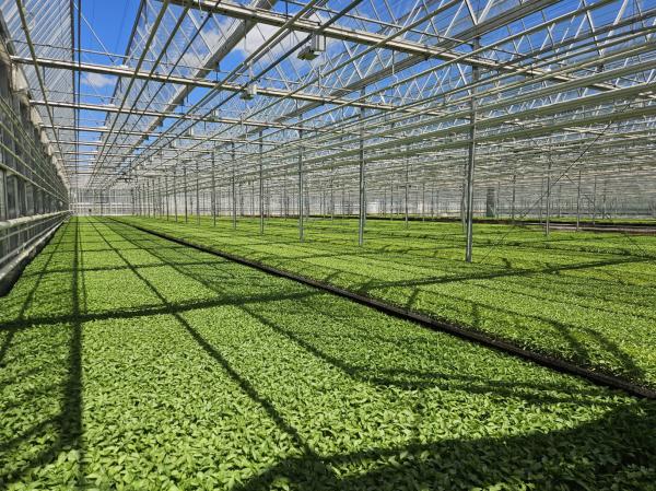 Az OMÉK keretein belül 2025. szeptember 18-án délután egy különleges agrárdigitalizációs szakmai konferencia kerül megrendezésre Budapesten. Az esemény célja, hogy bemutassa a legújabb technológiai innovációkat és megoldásokat az agrárium területén, előse
