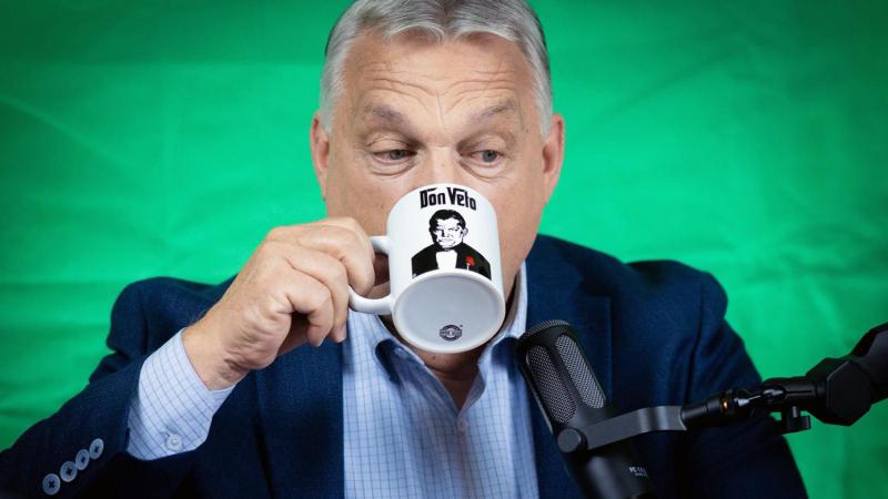Ki lehet itt a falu őrültje?